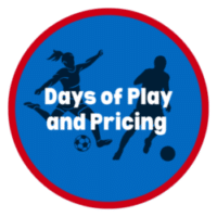 Blue and Yellow Bold Course Schoology Button (2)